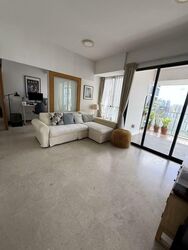 Cityscape @ Farrer Park (D8), Condominium #576137311